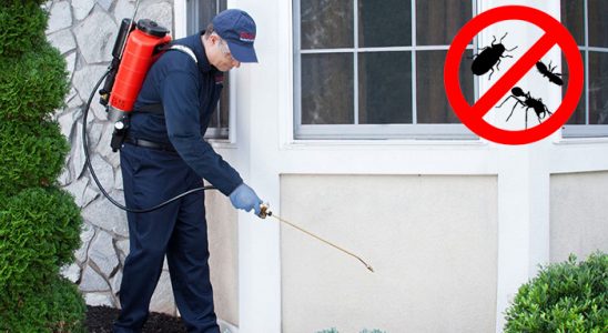 Abana Akrep İlaçlama böcek ilaçlama ve haşere kontrolü — ilaclama-tr.com